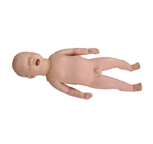 What is the importance of preterm models in medical education?